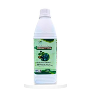 Phytogna 99