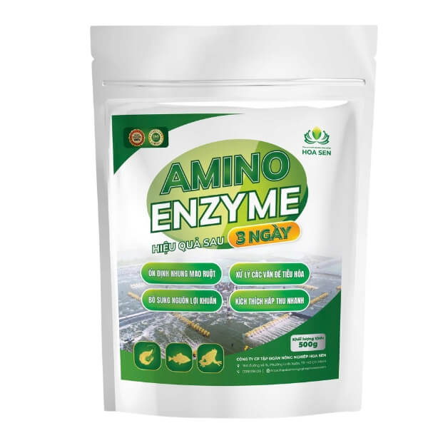 AMINO ENZYME - Xử lý các vấn đề tiêu hóa, kích thích và bổ sung lợi khuẩn cho tôm, cá, ếch