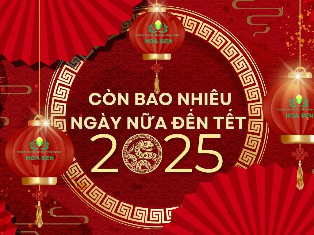 Bao nhiêu ngày nữa đến Tết 2025? Cùng nhau đếm ngược Tết 2025