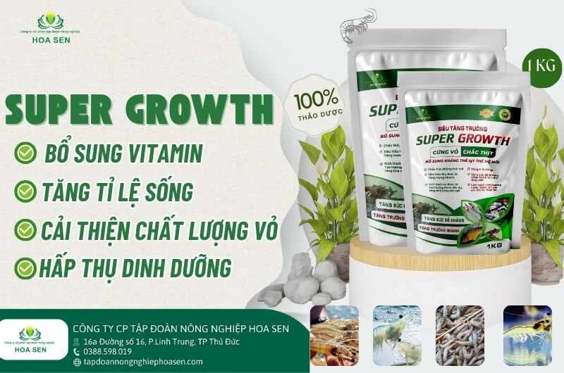 Super Growth - Siêu tăng trọng 