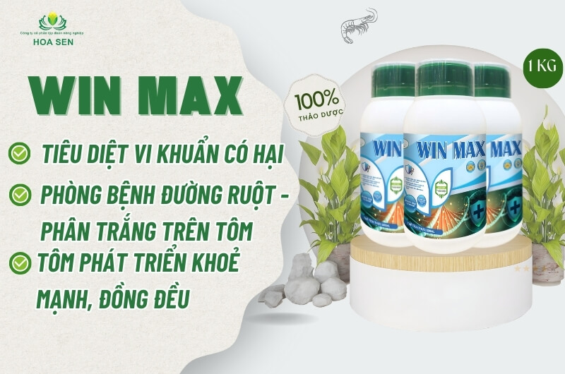 Win Max - Phòng bệnh trên tôm 