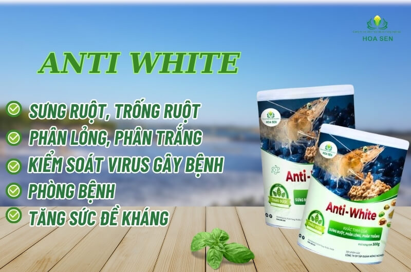 Anti White - Vi sinh đường ruột, phân trắng cho tôm 