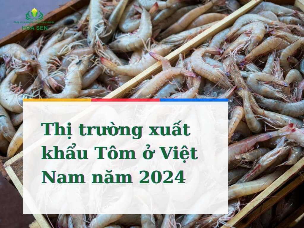 Việt Nam liệu có đi đầu trong thị trường xuất khẩu tôm năm 2024