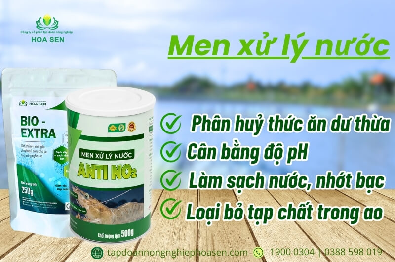 NUÔI TÔM QUẢNG CANH CẢI TIẾN: ỨNG DỤNG THÀNH CÔNG