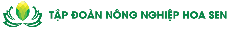 Hoa Sen Group