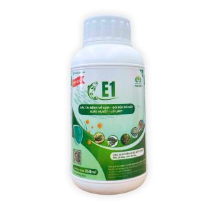 E1 - ĐIỀU TRỊ BỆNH VỀ GAN, ĐỎ ĐÙI, ĐỎ MẮT, XUẤT HUYẾT, LỞ LOÉT