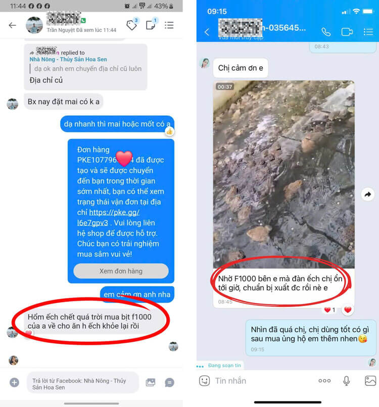 Khách hàng phản hồi tích cực về sản phẩm F1000