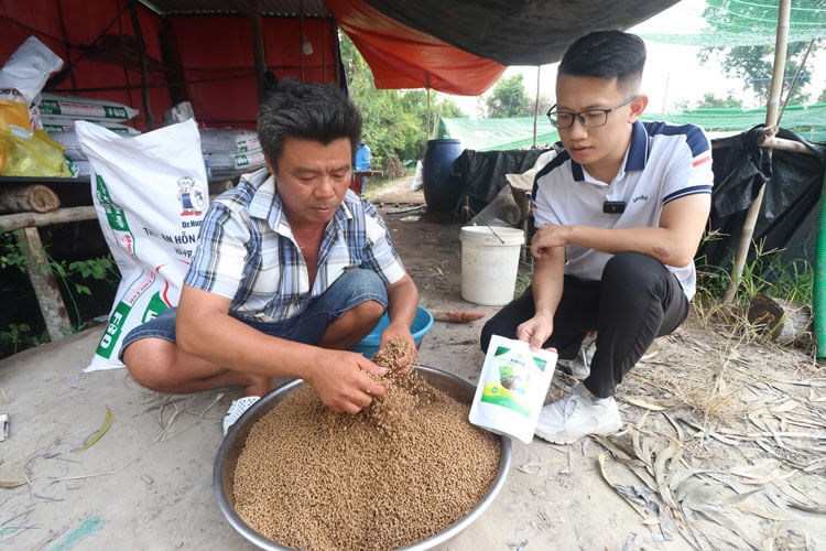  Sản phẩm F1000 được nhiều hộ nuôi ếch tin tưởng sử dụng