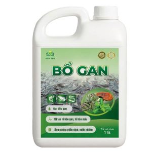 BỔ GAN - Giải độc gan, tăng cường chức năng gan, miễn nhiễm