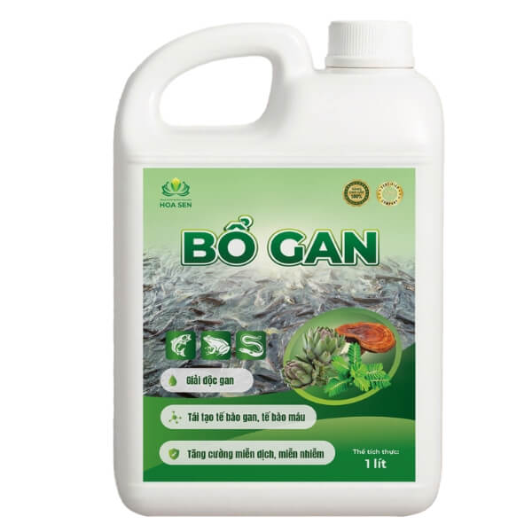 BỔ GAN - Giải độc gan, tăng cường chức năng gan, miễn nhiễm