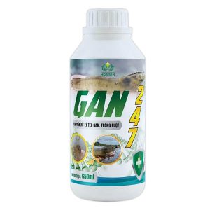 GAN 247 - CHUYÊN XỬ LÝ TEO GAN, TRỐNG RUỘT