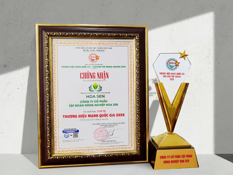 Giải thưởng Top 10 Thương hiệu Mạnh Quốc gia dành cho Tập đoàn