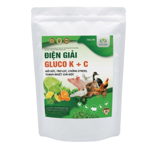 ĐIỆN GIẢI GLUCO K + C – Hồi sức nhanh, chống stress, thanh nhiệt, giải độc