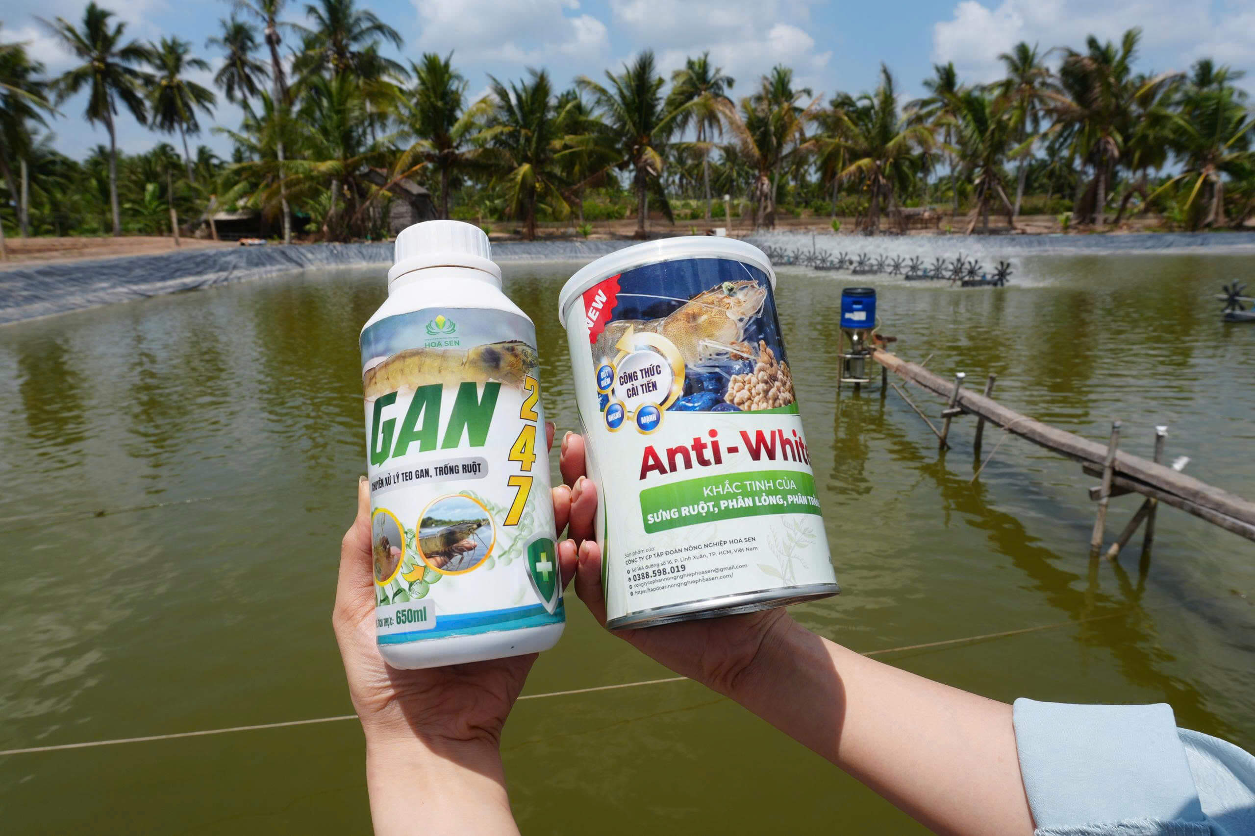 TẬN DỤNG SỨC MẠNH THẢO DƯỢC - BÍ QUYẾT NUÔI TÔM KHỎE MẠNH