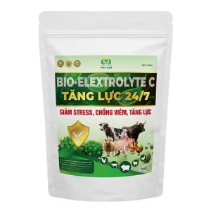TĂNG LỰC 24/7 – Giảm Stress, Chống Viêm, Hạ Nhiệt Nhanh, Tăng Lực